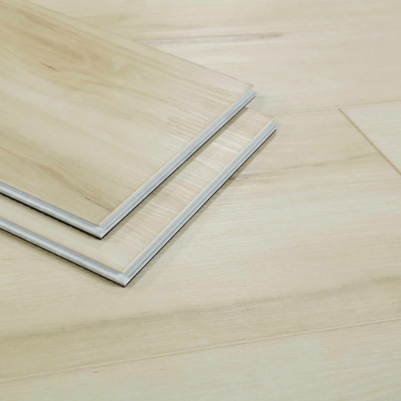 American Flooring Distributor Paramount Coral