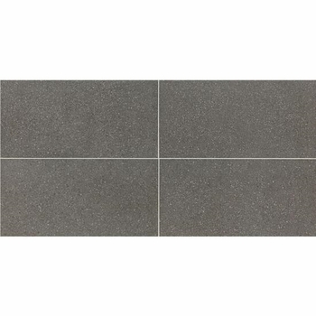 American Olean Neospeck Dark Gray 12 x 24