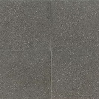 American Olean Neospeck Dark Gray 24 x 24