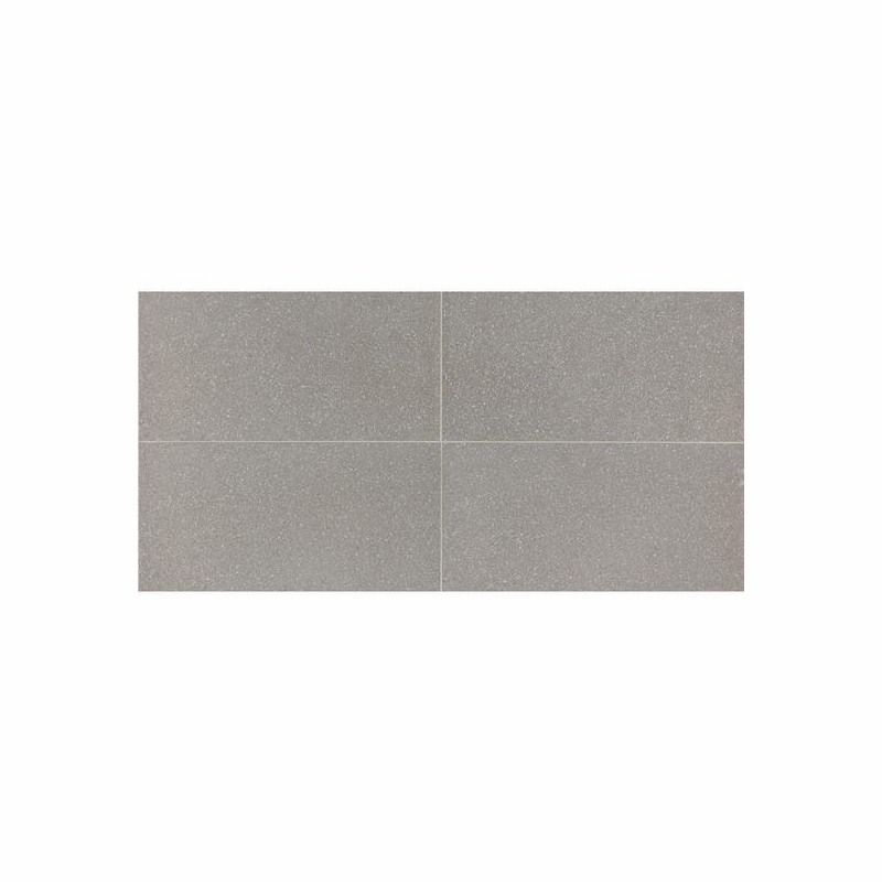 American Olean Neospeck Light Gray 12 x 24