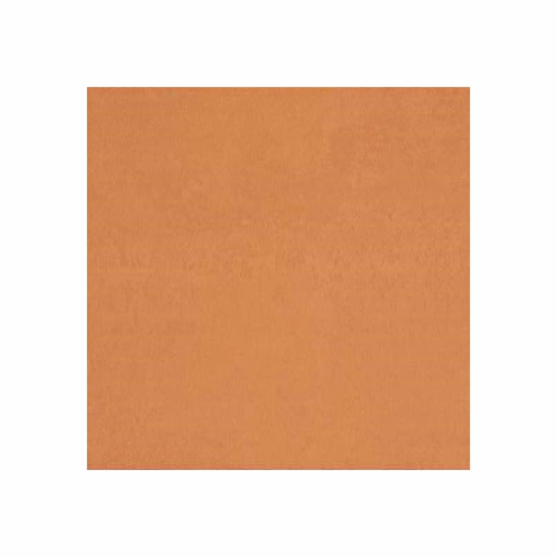 American Olean Theoretical Bold Authentic Orange 24 x 24