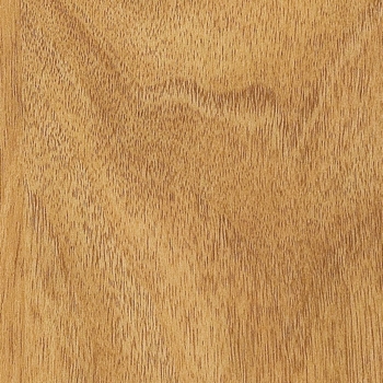 Amtico Spacia American Walnut Natural