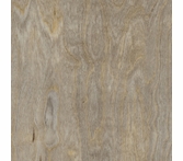 Amtico Spacia Bleached Elm