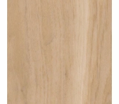 Amtico Spacia Eden Oak