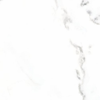 Anatolia Classic Calacatta 12 x 24