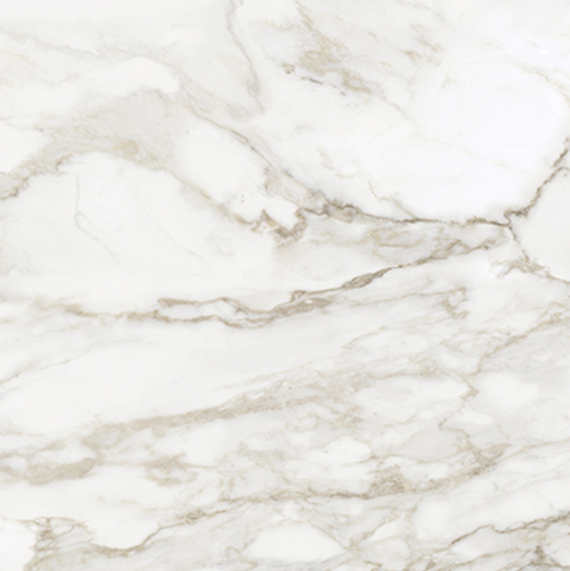 Anatolia La Marca Calacatta 24" x 48"