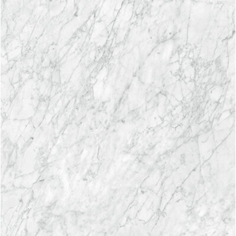 Anatolia La Marca Carrara Polished 24" x 48"