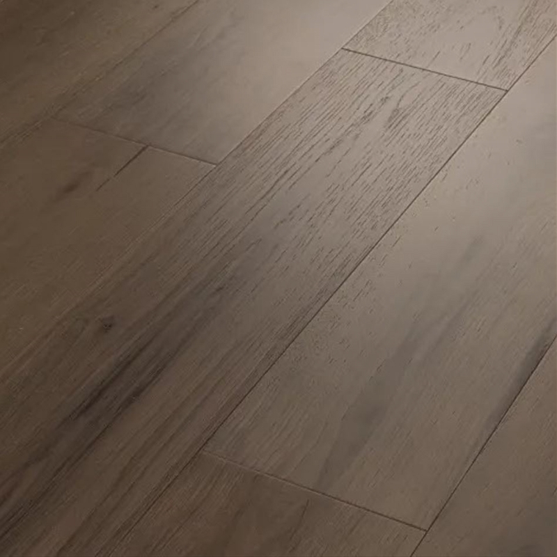 Anderson Transcendence Elevation