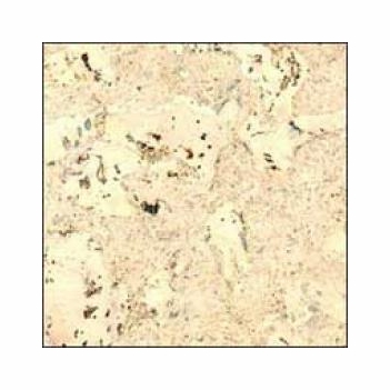 APC Cork Odysseus White