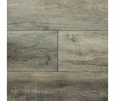 Armstrong Audacity Foundations Partridge