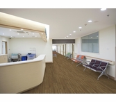 Aspecta Melbourne Elm Natural