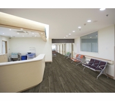 Aspecta Melbourne Elm Pearl