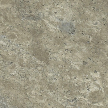 Aspecta Pyrite Lichen