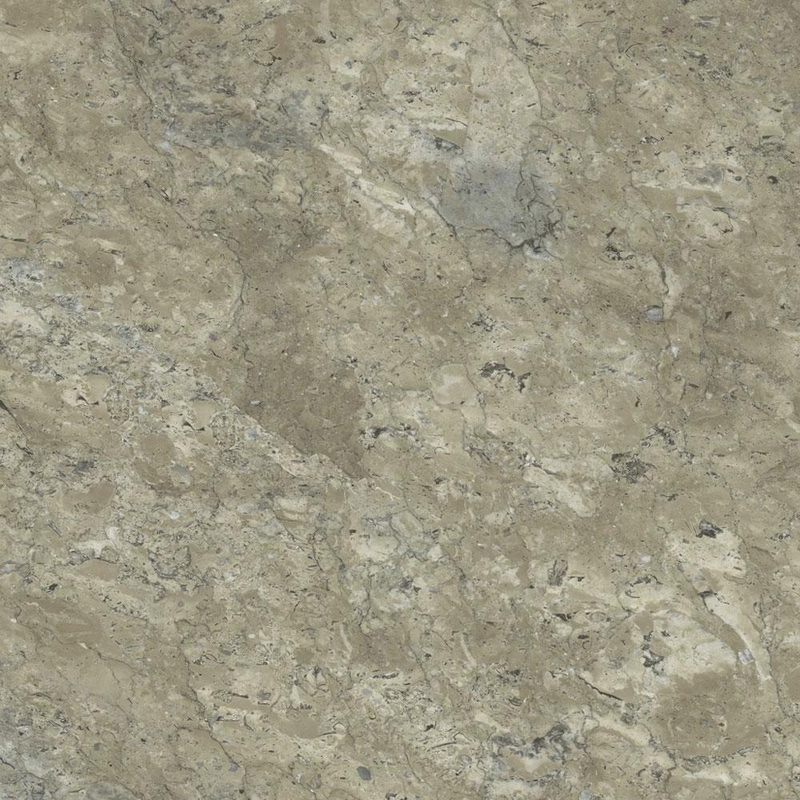 Aspecta Pyrite Lichen