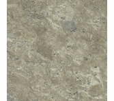 Aspecta Pyrite Lichen