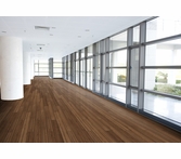 Aspecta Spotted Gum Cognac