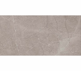 Atlas Concorde Eon Corinthian Gray 12 x 24