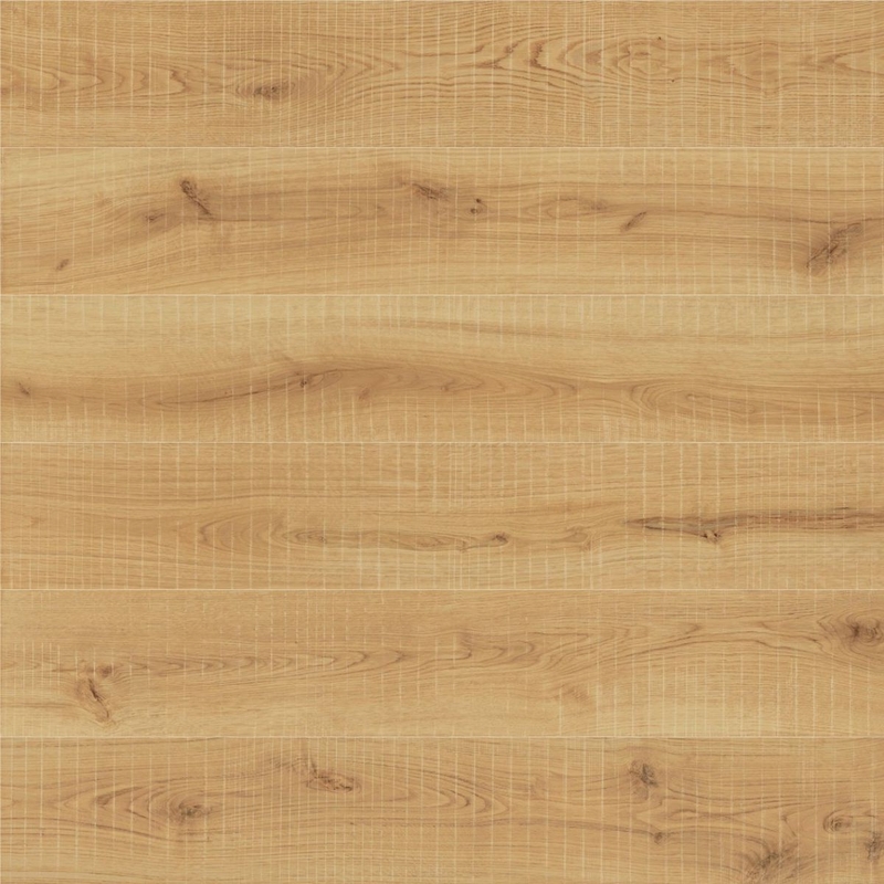 Atlas Concorde Exence Almond Saw Cut