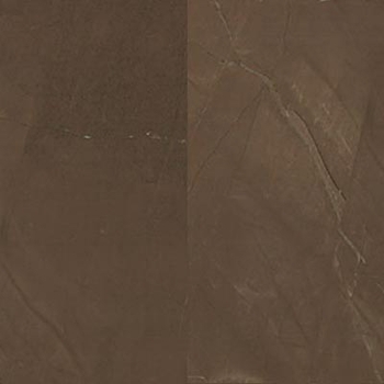 Atlas Concorde Marvel Bronze Allure Polished 24" x 24"