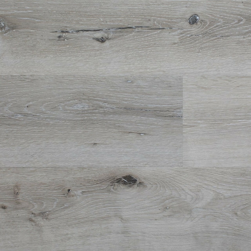 AxisCor Axis Prime Plus Oyster Bay