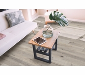 AxisCor Axis Prime Plus Oyster Bay