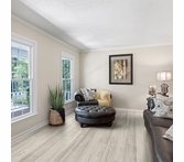 Beauflor Curio Cove Pine 246M