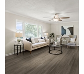 Beauflor Curio Cypress Pine 699D