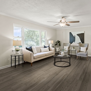 Beauflor Curio Cypress Pine 699D