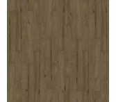 Beauflor Curio Salem Elm 464D