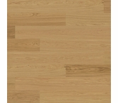 Bjelin Natural Oak XL Select