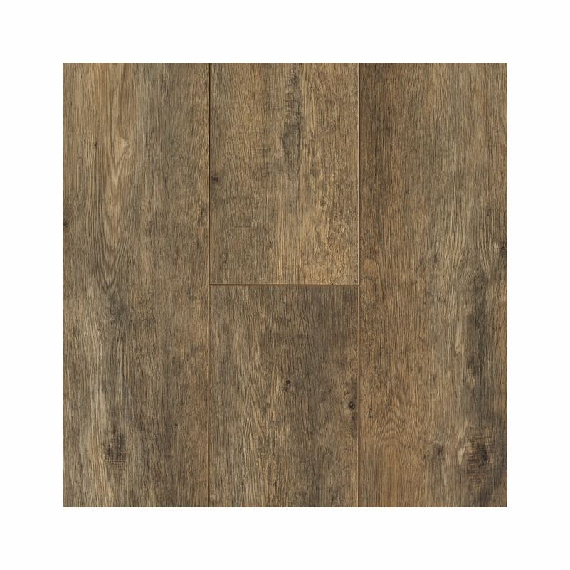 Bruce Lifeseal Reserve Artistic Inspiration