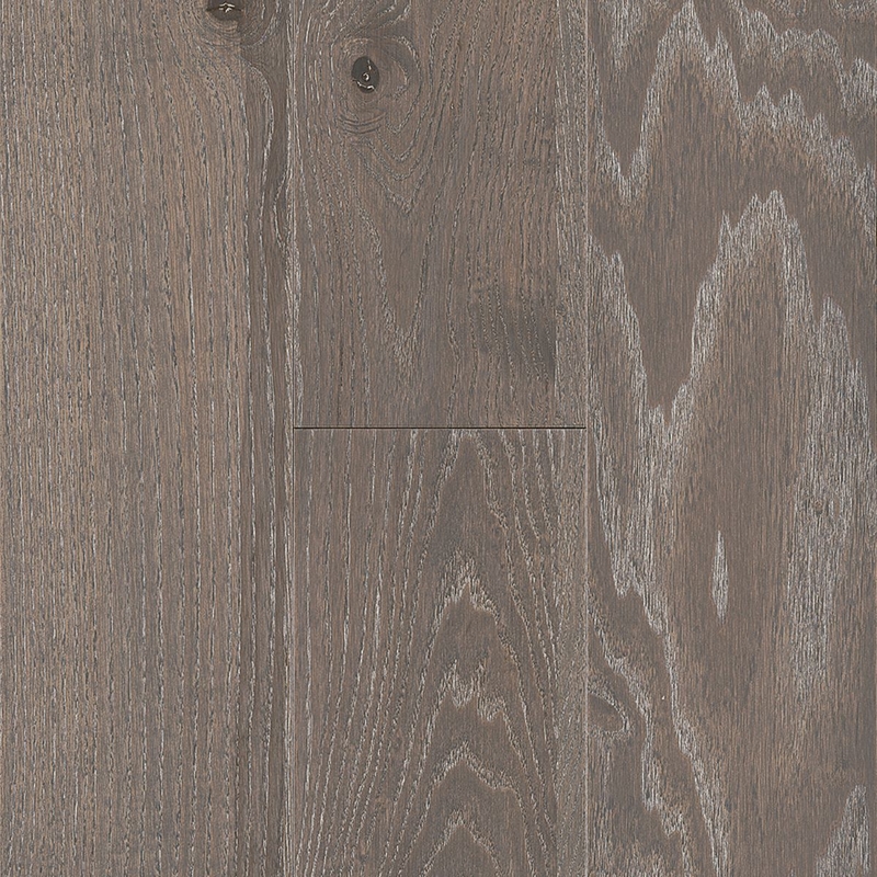 Bruce Standing Timber Coastal Edge