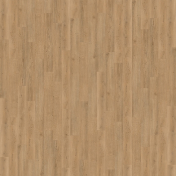 Cali Floors Legends Catamaran
