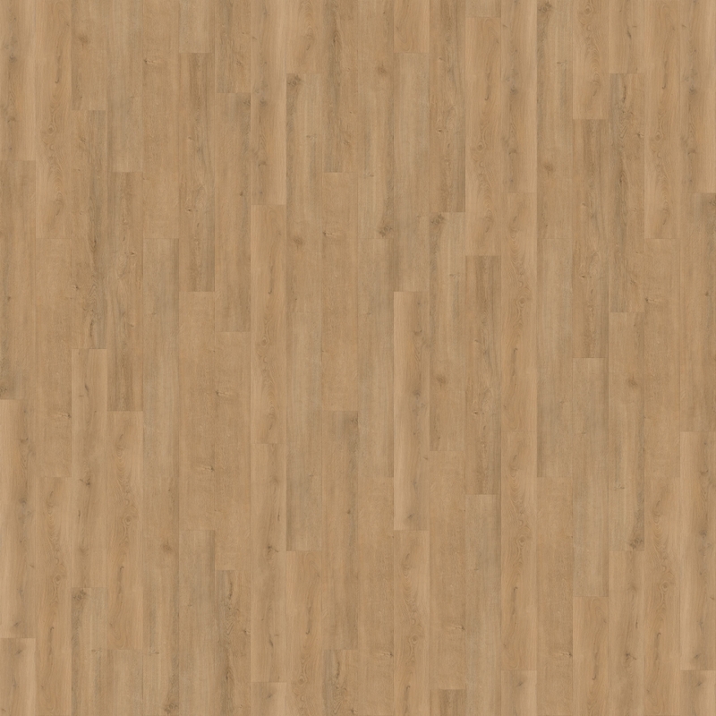 Cali Floors Legends Catamaran