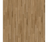 Cali Floors Longboards Portola Pier