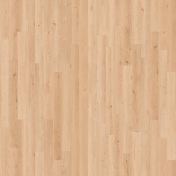 Cali Floors Mavericks Santa Cruz Sand