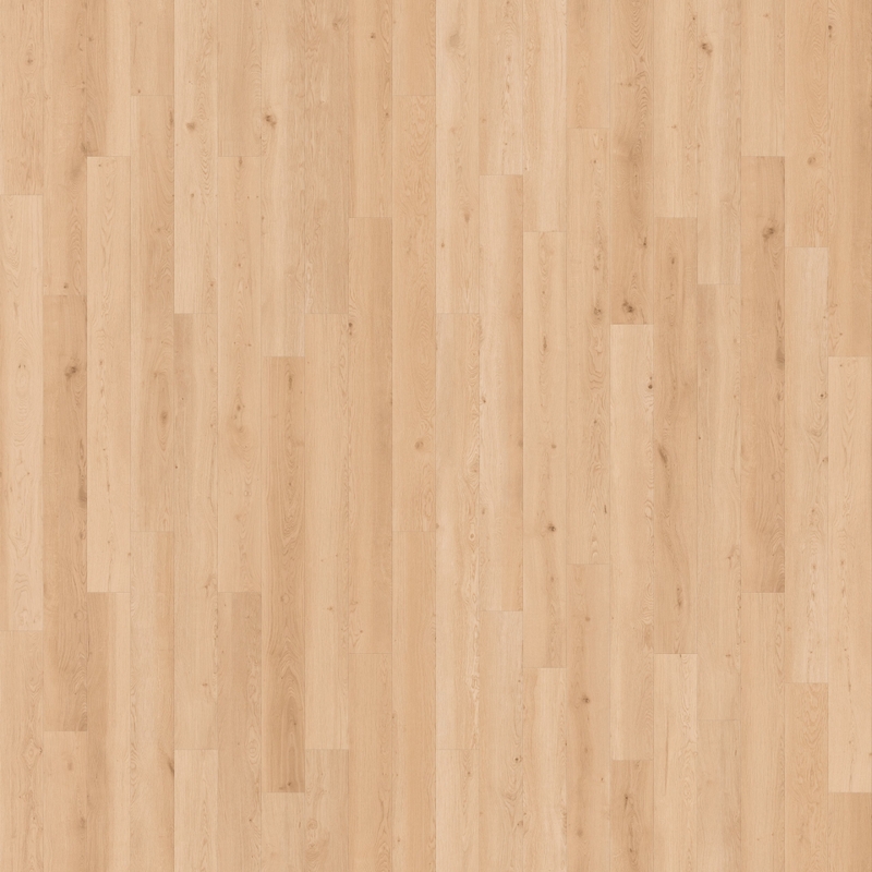 Cali Floors Mavericks Santa Cruz Sand