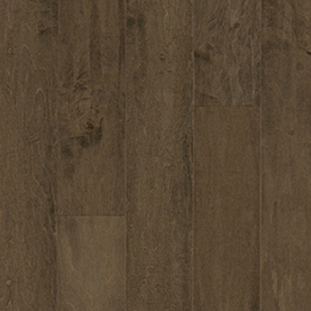 Capella Maple Scrape Brown Umber