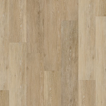 Casabella Coastal Coquina