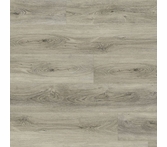 Chesapeake Coastal Glistening Sand