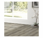 Chesapeake Coastal Glistening Sand