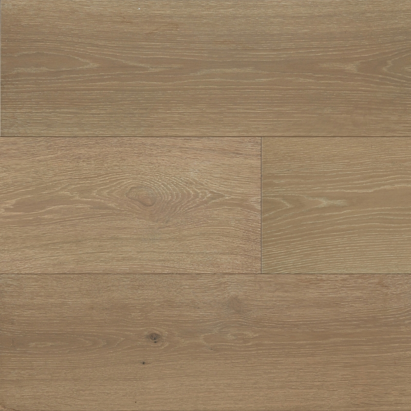 Chesapeake Southern Charm Palmetto