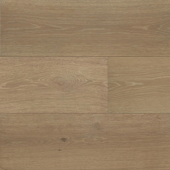 Chesapeake Southern Charm Palmetto