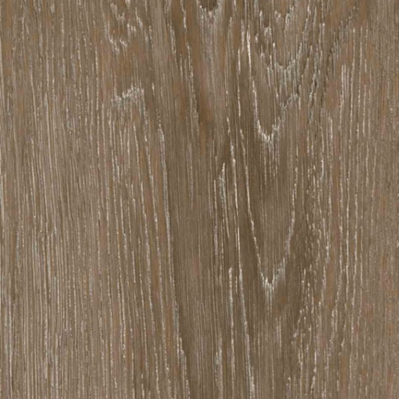 Cobalt Surfaces Tangent Whole Wheat