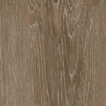Cobalt Surfaces Tangent Whole Wheat