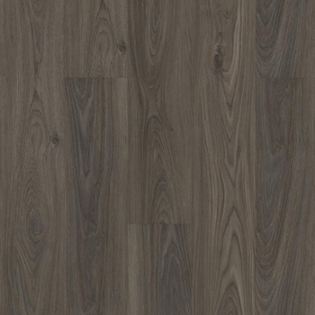 Core Elements Showdown Plus II Pepper Elm