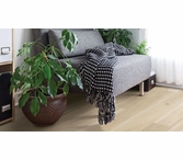 Coretec HD Integrated Plus Blended Cocoon
