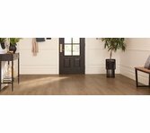 Coretec HD Integrated Plus XL Zawn Oak