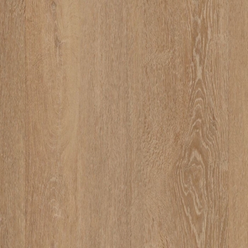 Coretec HD Integrated Plus XL Zawn Oak