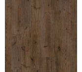 Coretec Plus Belford Oak